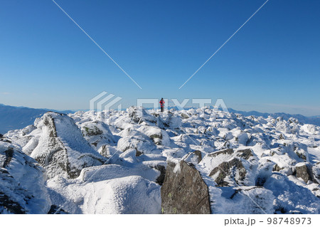 雪山の景色 雪山の景色 98748973