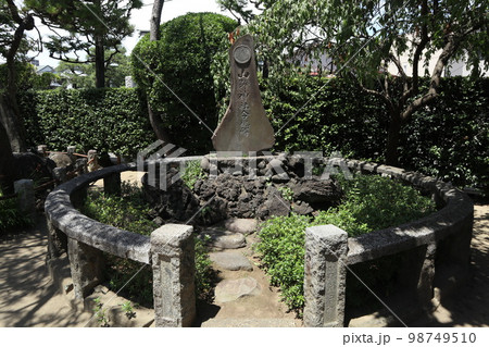 蒲田 稗田神社の境内 蒲田 稗田神社の境内 98749510