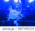 クラゲの水槽 98749524
