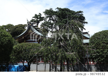 蒲田八幡神社 蒲田八幡神社 98749532