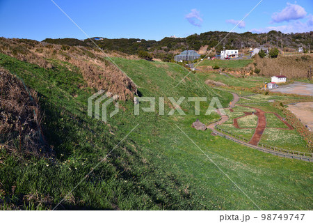 伊豆下田の爪木崎 98749747