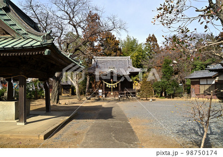 埼玉県深谷市岡の安産の神様 島護産泰神社 埼玉県深谷市岡の安産の神様 島護産泰神社 98750174