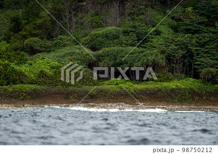 小笠原　石浦海岸 98750212