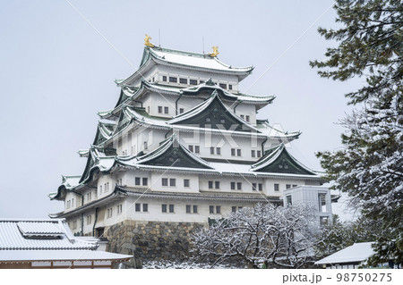 冬の名古屋城 98750275
