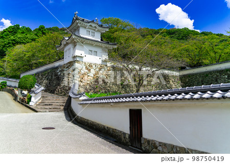 龍野城隅櫓と青空 兵庫県たつの市 龍野城隅櫓と青空 兵庫県たつの市 98750419