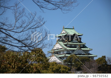 日本の城　3月の大阪城天守閣 98750582