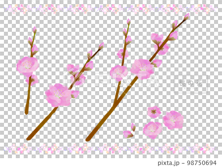 桃の花 桃 ひな祭り 98750694
