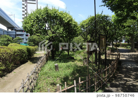 聖蹟梅屋敷公園 聖蹟梅屋敷公園 98750746