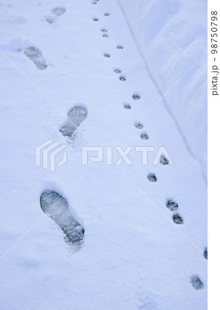 雪の日の人と犬の足跡 雪の日の人と犬の足跡 98750798