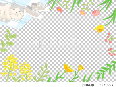 Green flower frame Scenery during a picnic with a cat Rape blossoms and spring flowers Cute hand drawn illustrations Green flower frame Scenery during a picnic with a cat Rape blossoms and spring flowers Cute hand drawn illustrations 98750995