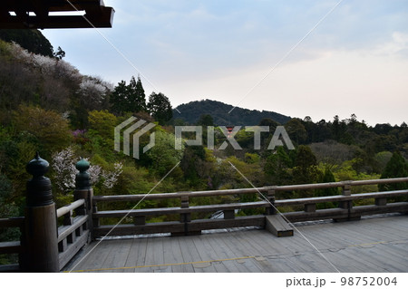 日本の京都 春の清水寺 清水の舞台と呼ばれる国宝の本堂から見た桜と新緑と三重塔 夕暮れの街並み 日本の京都 春の清水寺 清水の舞台と呼ばれる国宝の本堂から見た桜と新緑と三重塔 夕暮れの街並み 98752004