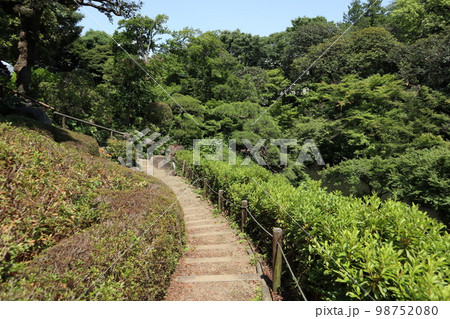 五反田 池田山公園 五反田 池田山公園 98752080