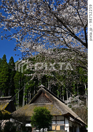 春の慧日寺 春の慧日寺 98752259