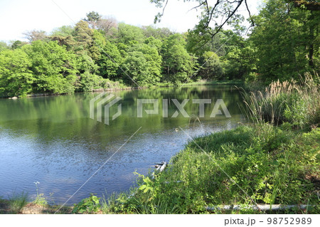 五反田　池田山公園 98752989