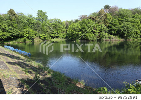 五反田 池田山公園 五反田 池田山公園 98752991