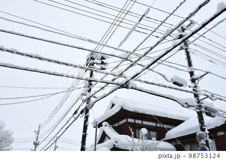 雪国 98753124
