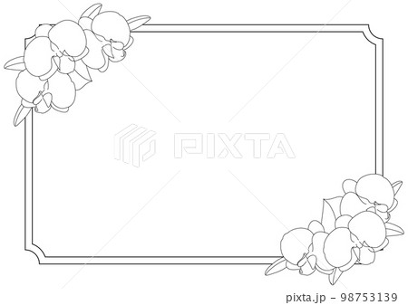 胡蝶蘭のかわいい白黒線画イラストフレーム素材長方形 98753139