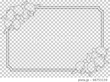 胡蝶蘭のかわいい白黒線画イラストフレーム素材長方形 98753139