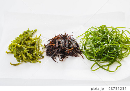 集めた海の幸　海藻 98753253