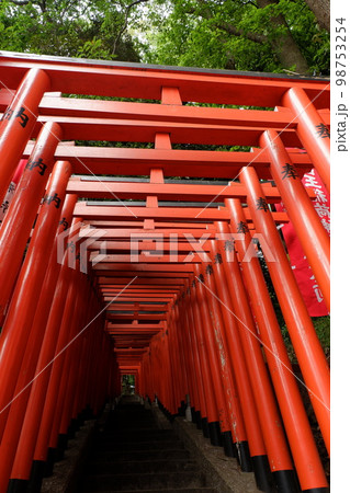 日枝神社、東京、日本、神社、鳥居、建物、宗教、赤、緑、階段、とりい、門、写真スポット、インスタ映え、 98753254