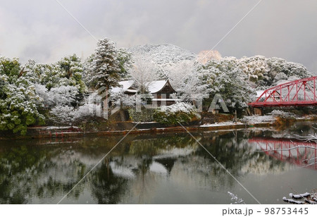 金立公園と川上峡の雪景色 98753445