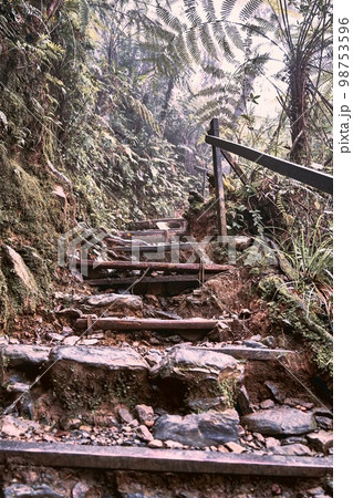 Steps of Mt Kinabalu 98753596