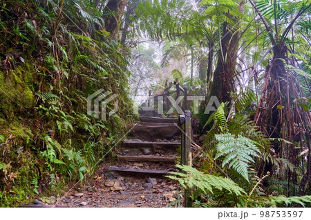 Steps of Mt Kinabalu Steps of Mt Kinabalu 98753597