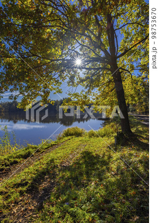 Typical landscape in Trebonsko region near Trebon city in Southern Bohemia, Czech Republic 98753670