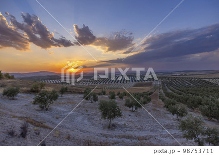 typical Andalusian landscape during sunset, Spain 98753711