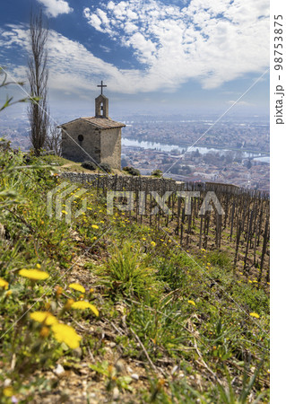 Grand cru vineyard and Chapel of Saint Christopher, Tain l'Hermitage, Rhone-Alpes, France Grand cru vineyard and Chapel of Saint Christopher, Tain l'Hermitage, Rhone-Alpes, France 98753875