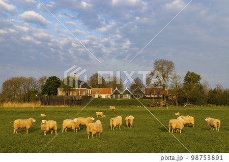Former island of Schokland, UNESCO World Heritage Site, Netherlands Former island of Schokland, UNESCO World Heritage Site, Netherlands 98753891