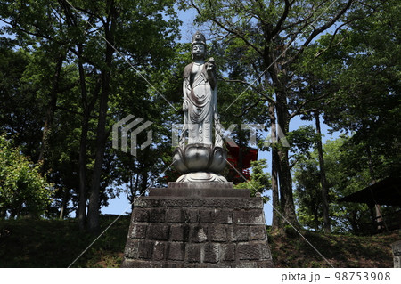 狭山丘陵 金乗院山口観音 98753908