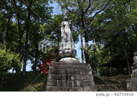 狭山丘陵 金乗院山口観音 狭山丘陵 金乗院山口観音 98753910