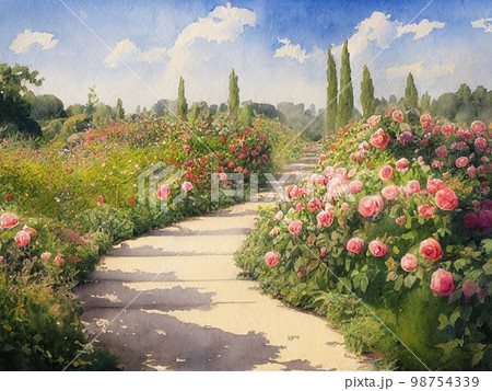バラ園の風景 バラ園の風景のイラスト素材 [98754339] - PIXTA