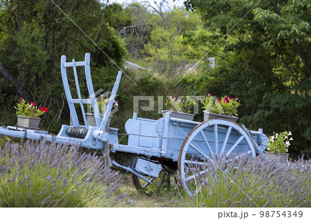 blue wooden cart with lavenders in Provence, France blue wooden cart with lavenders in Provence, France 98754349