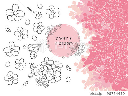 桜の手描きイラスト素材 98754450