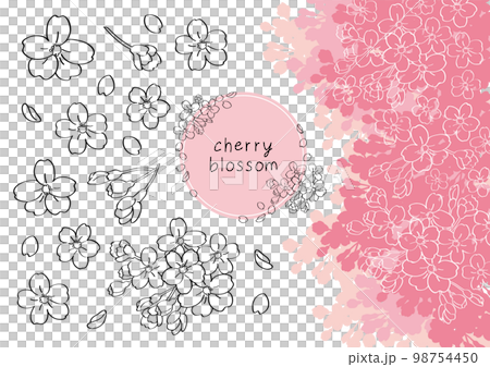 桜の手描きイラスト素材 98754450