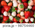 苺のグラデーション 98754460