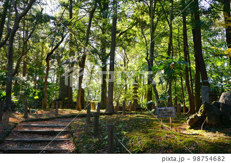 日本 千葉県 成田山新勝寺 成田山公園 日本 千葉県 成田山新勝寺 成田山公園 98754682