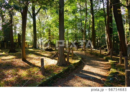 日本 千葉県 成田山新勝寺 成田山公園 日本 千葉県 成田山新勝寺 成田山公園 98754683