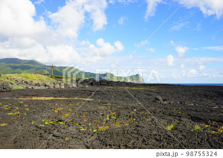 日本 東京 八丈島 南原千畳敷 溶岩	 98755324