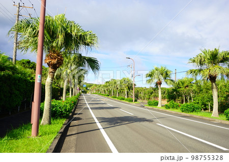 日本 東京 八丈一周道路	 98755328