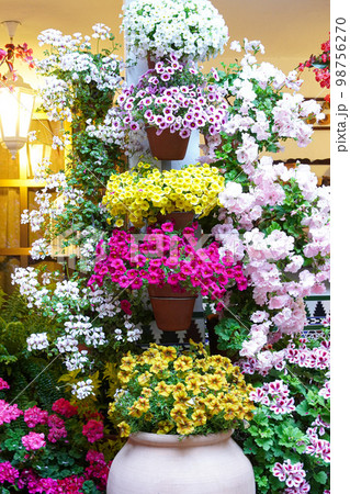 コルドバのパティオ祭り　花いっぱいの植木鉢　 la fiesta de los patios 98756270