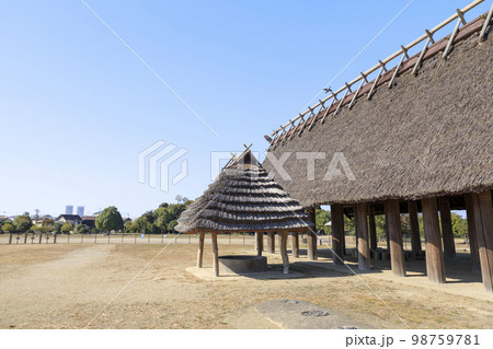 大阪府和泉市　秋の池上曽根史跡 98759781