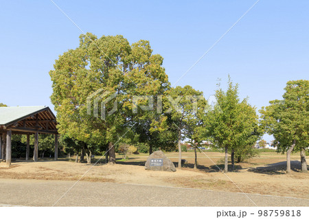 大阪府和泉市　秋の池上曽根史跡 98759818