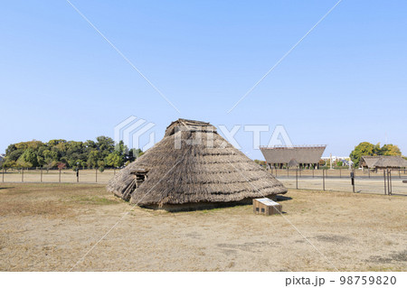 大阪府和泉市 秋の池上曽根史跡 大阪府和泉市 秋の池上曽根史跡 98759820