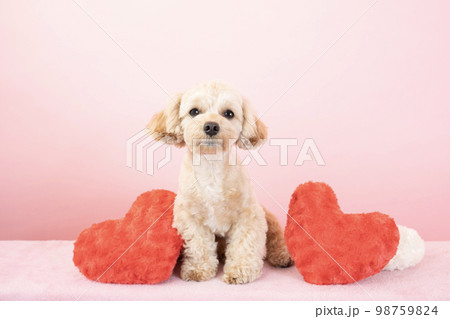 赤いハートと笑うマルプー 98759824