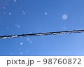 電線から落ちる雪 98760872