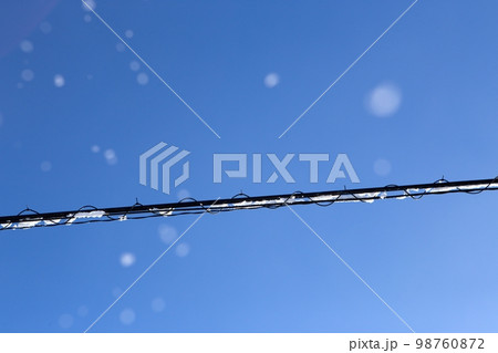 電線から落ちる雪 電線から落ちる雪 98760872