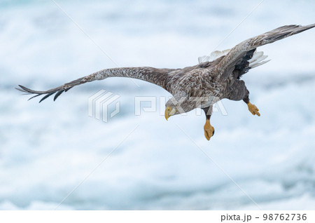 知床　冬 98762736